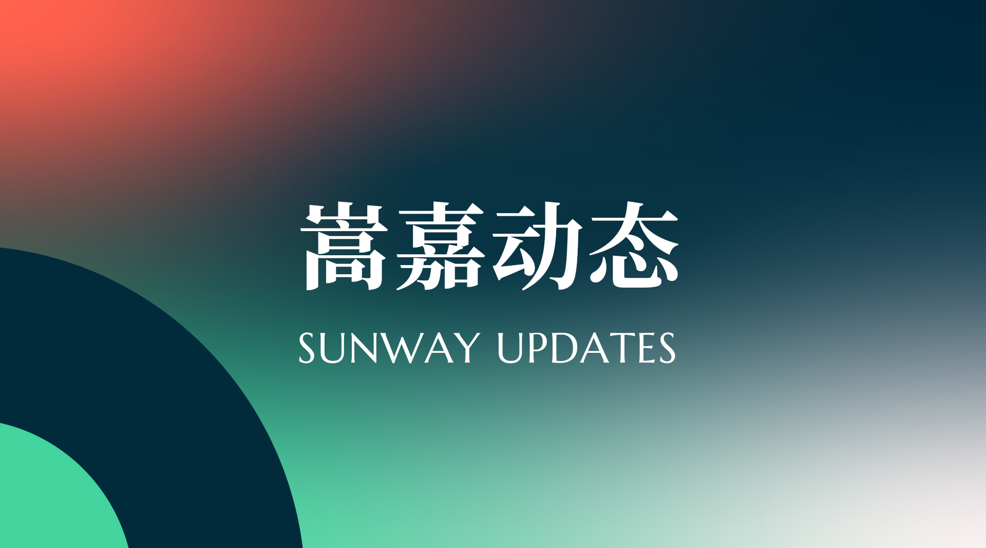 嵩嘉“敬来路·赴新程”阶段成果分享暨团队表彰会圆满举行